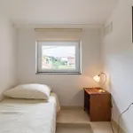 Cozy In With Kitchen بولا